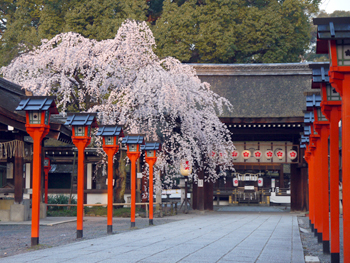 平野神社