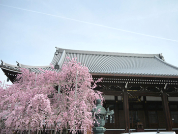 花街 上七軒